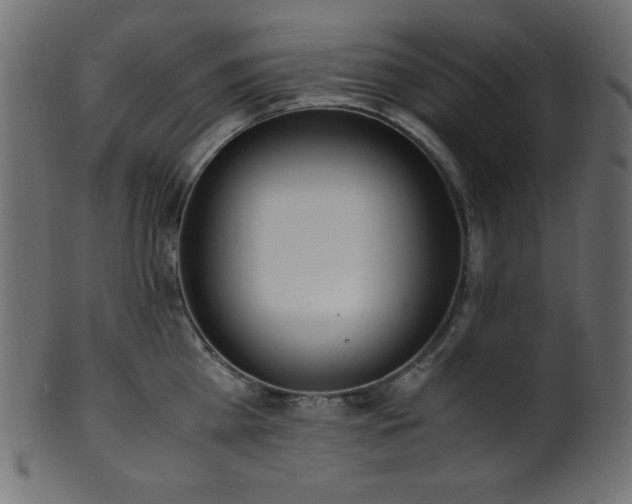X0000101990809200807181146