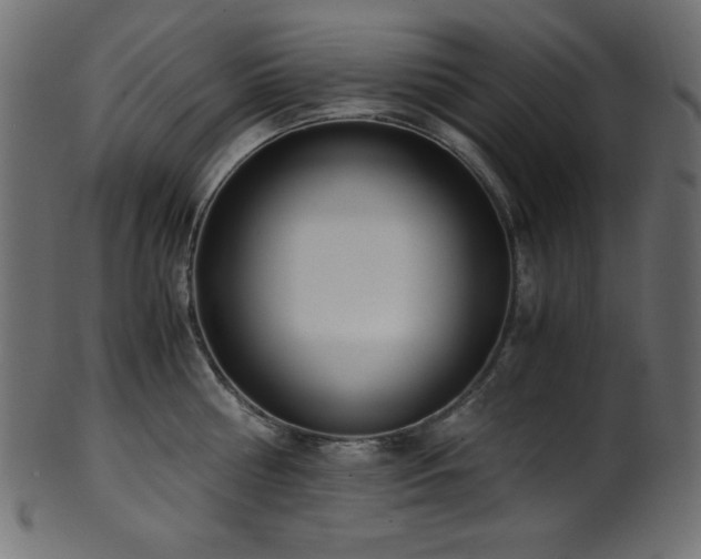 X0000101990810200807181146