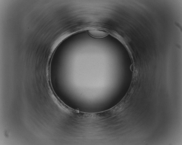 X0000101990811200807181146