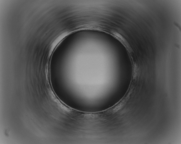X0000101990812200807181146