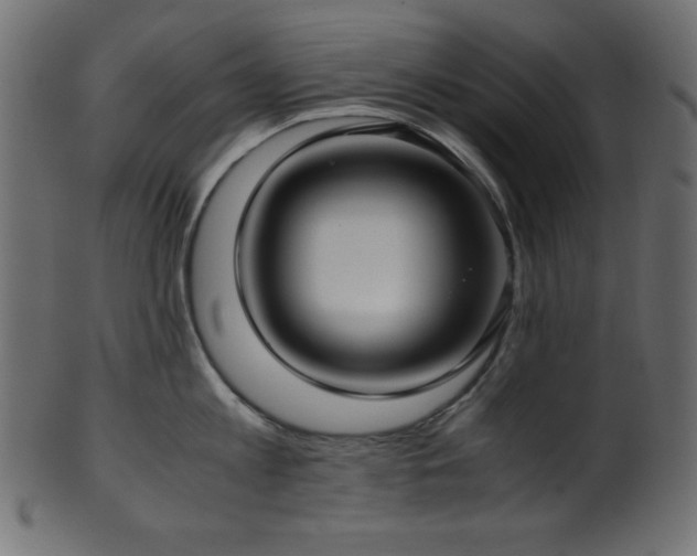 X0000101990813200807181146