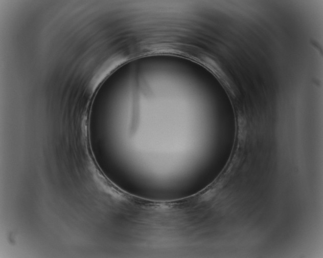X0000101990814200807181146