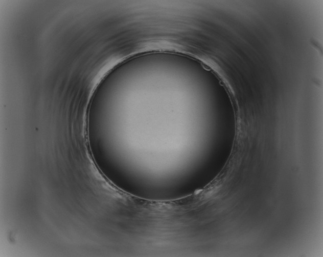 X0000101990815200807181146