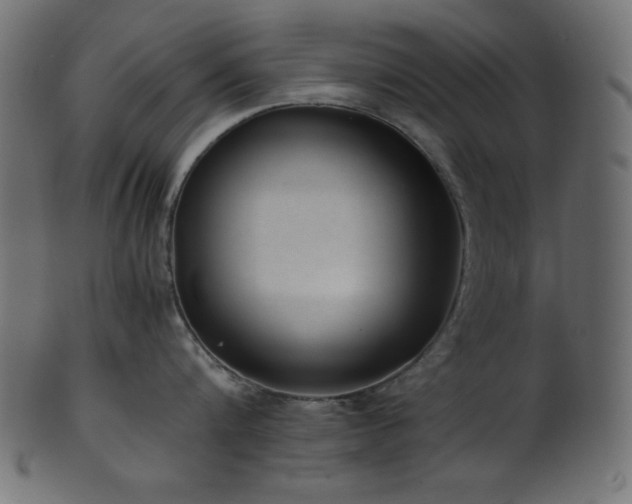 X0000101990816200807181146