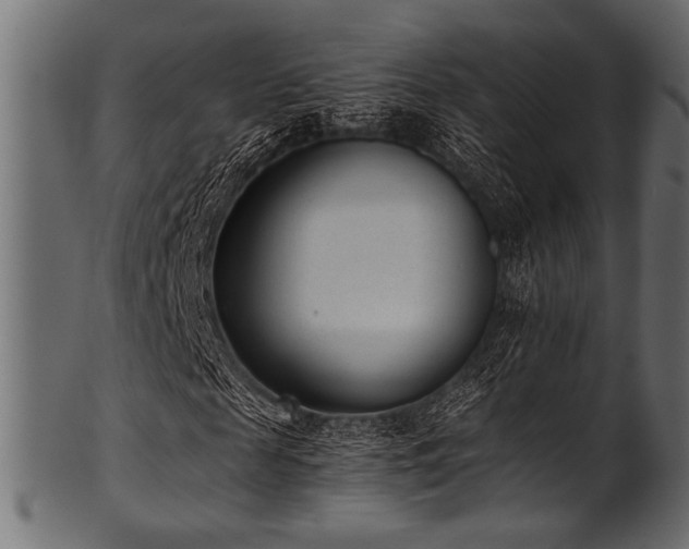 X0000101990817200807181145