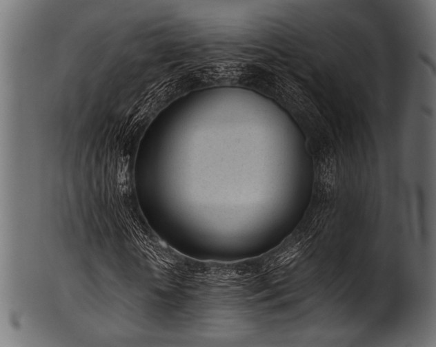 X0000101990818200807181145
