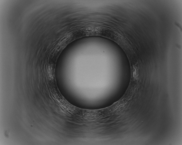 X0000101990819200807181146