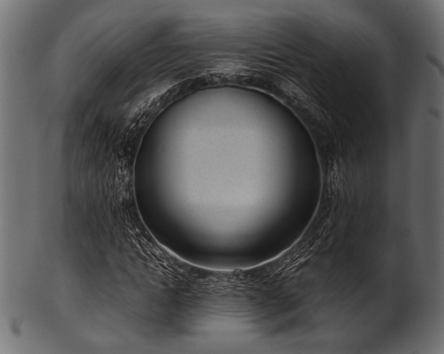 X0000101990822200807181146
