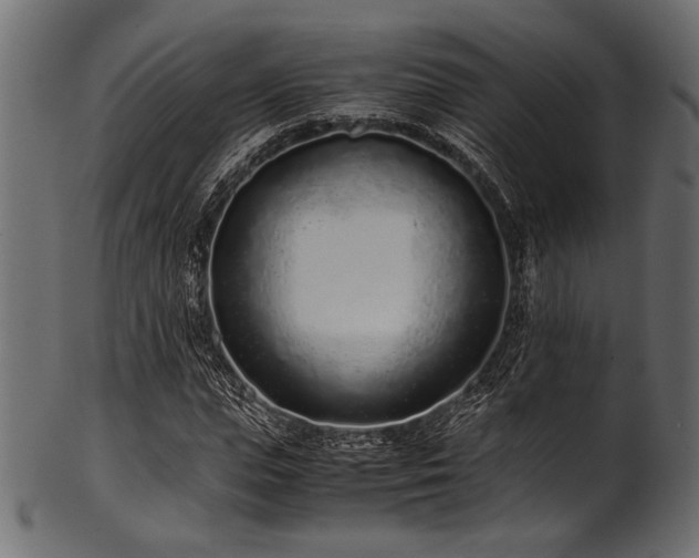 X0000101990823200807181146