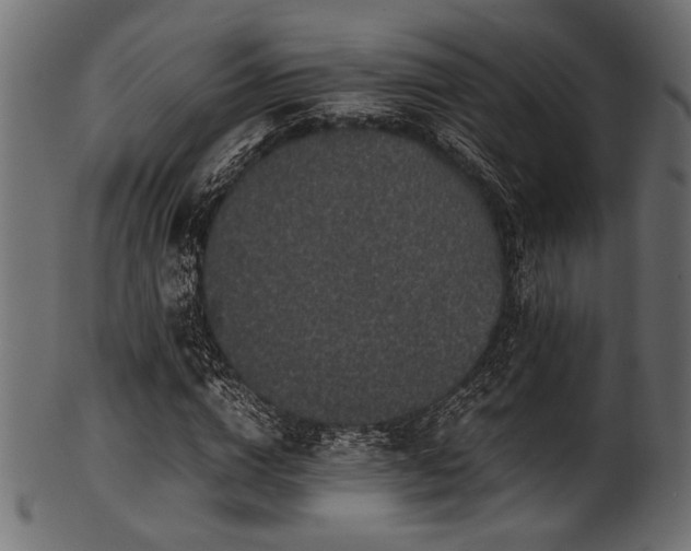X0000101990824200807181146