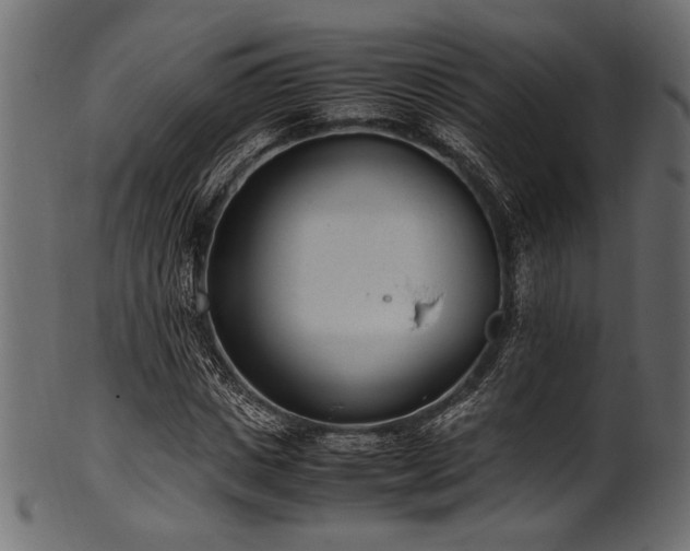 X0000101990825200807181146
