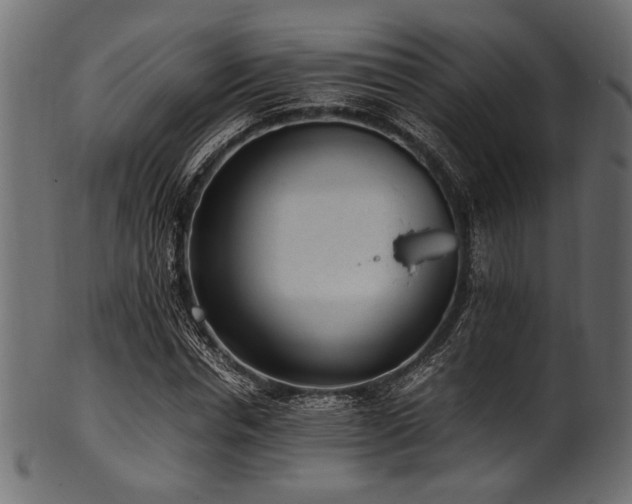X0000101990826200807181146