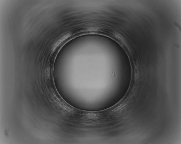 X0000101990827200807181146
