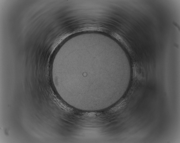 X0000101990828200807181146