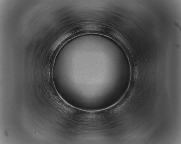 X0000101990829200807181146
