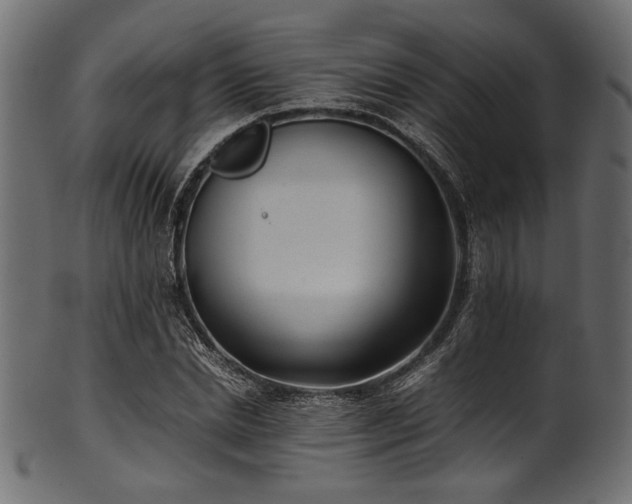 X0000101990830200807181146