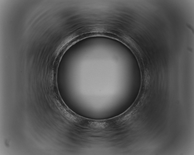 X0000101990831200807181146