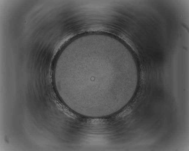 X0000101990832200807181146