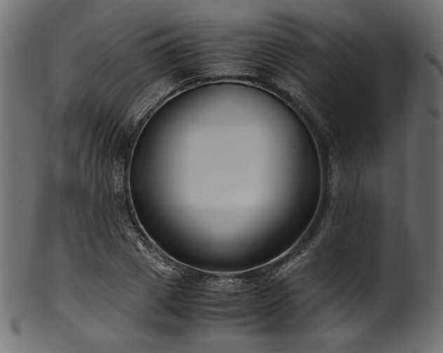 X0000101990833200807181146