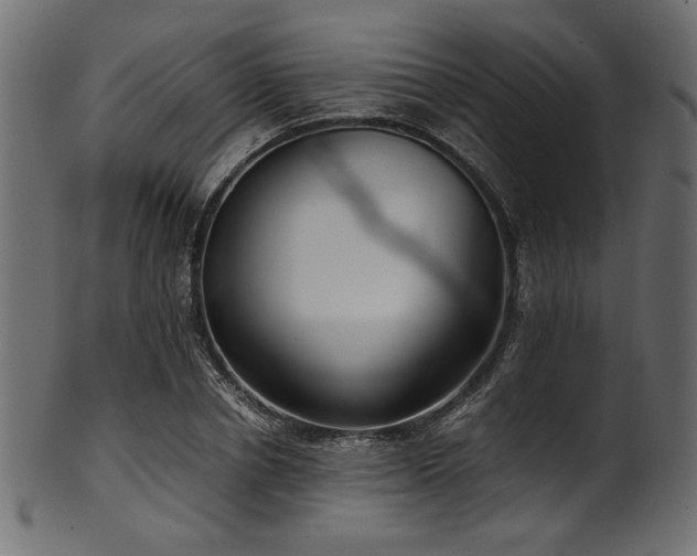 X0000101990834200807181146