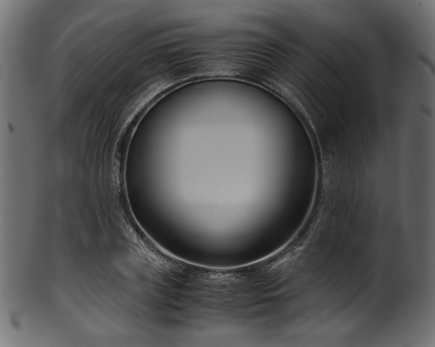 X0000101990835200807181146
