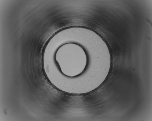 X0000101990836200807181146