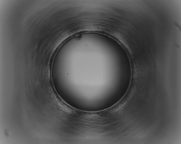 X0000101990837200807181146