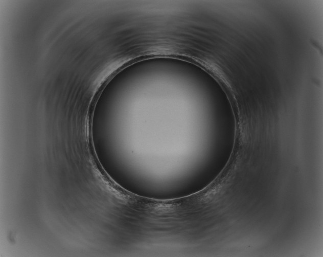 X0000101990839200807181146
