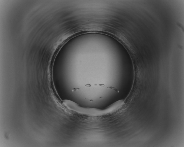 X0000101990840200807181146