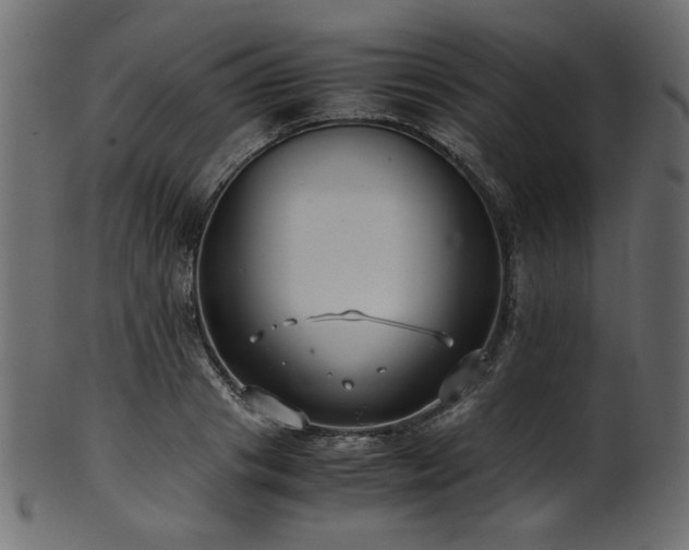 X0000101990841200807181146