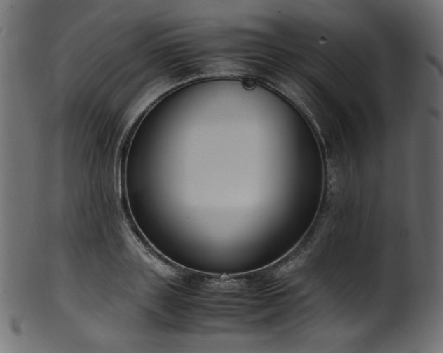 X0000101990843200807181146