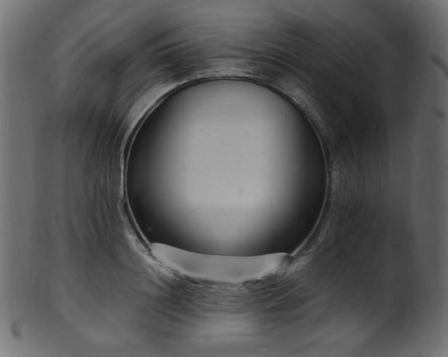 X0000101990844200807181146