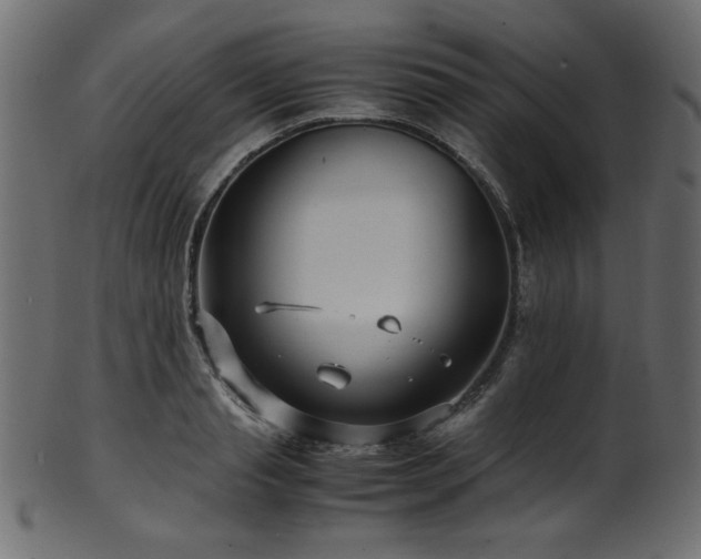 X0000101990845200807181146