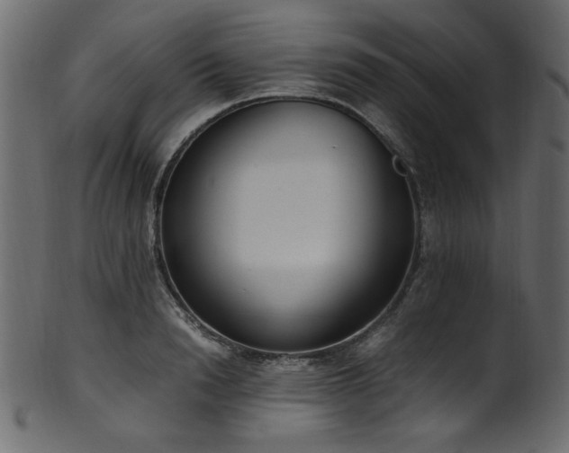 X0000101990846200807181146