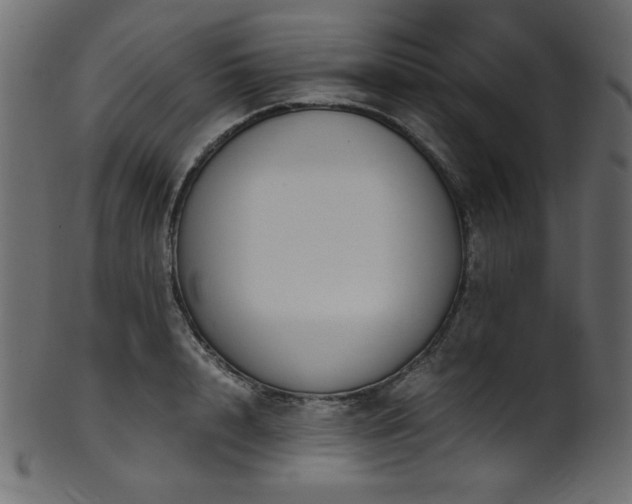 X0000101990848200807181146