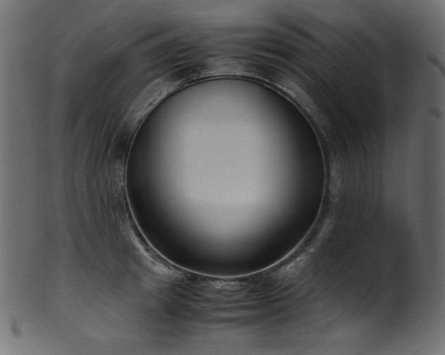 X0000101990849200807181146
