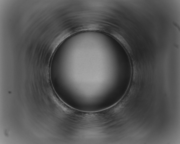 X0000101990850200807181146
