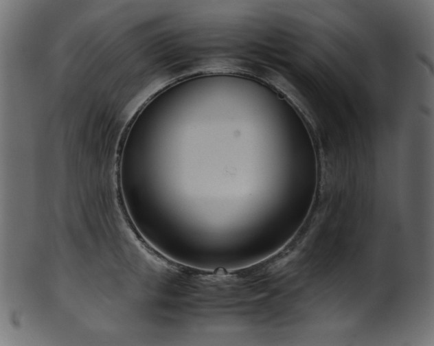 X0000101990853200807181146