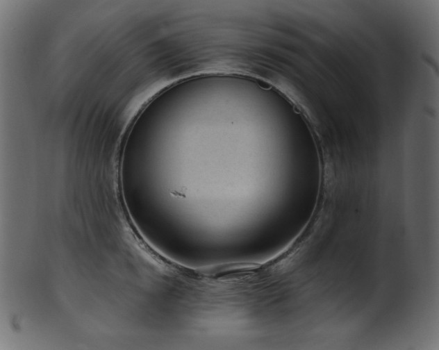 X0000101990854200807181146