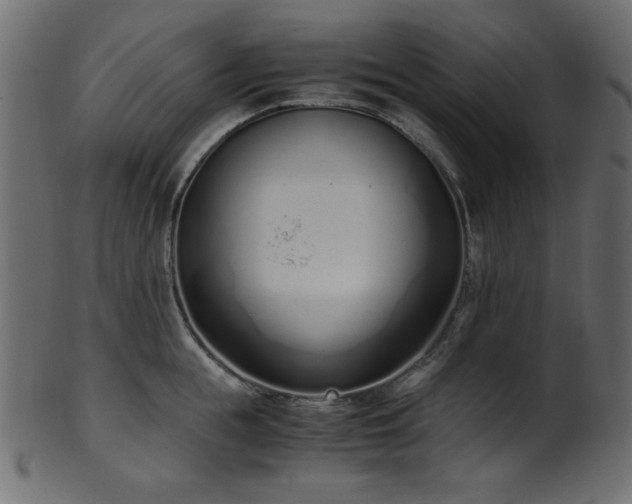 X0000101990855200807181146