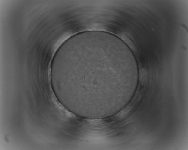 X0000101990856200807181146