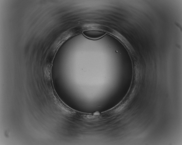 X0000101990857200807181146