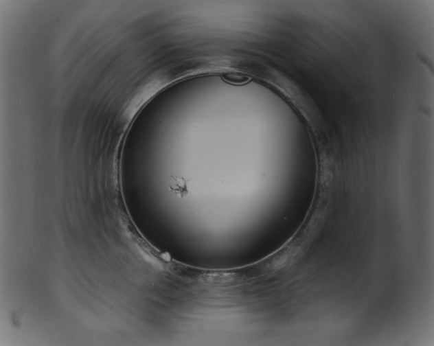 X0000101990858200807181146