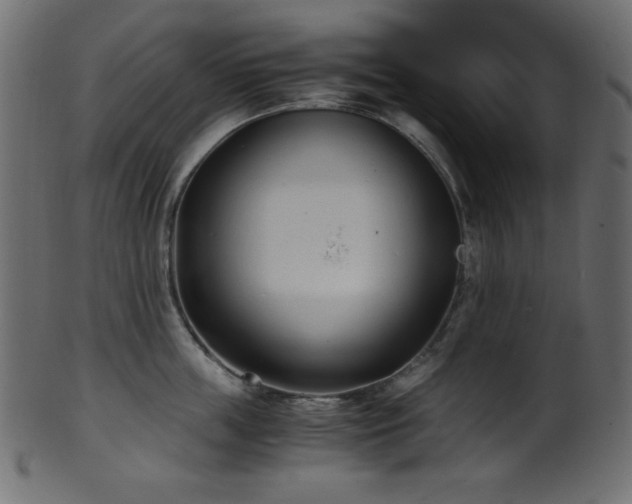 X0000101990859200807181146