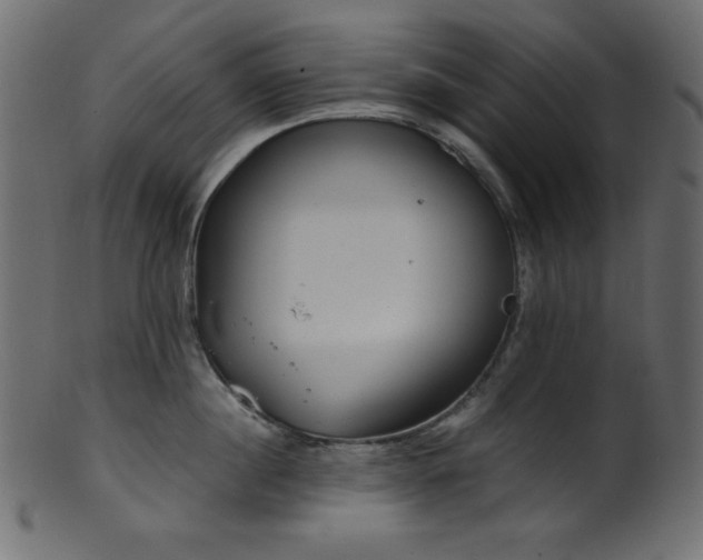 X0000101990860200807181146