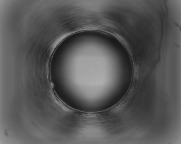 X0000101990862200807181146