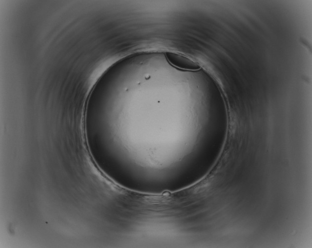X0000101990863200807181146
