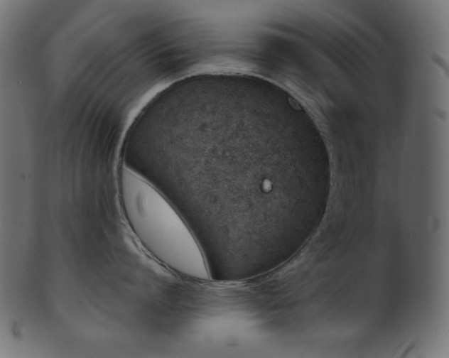 X0000101990864200807181146