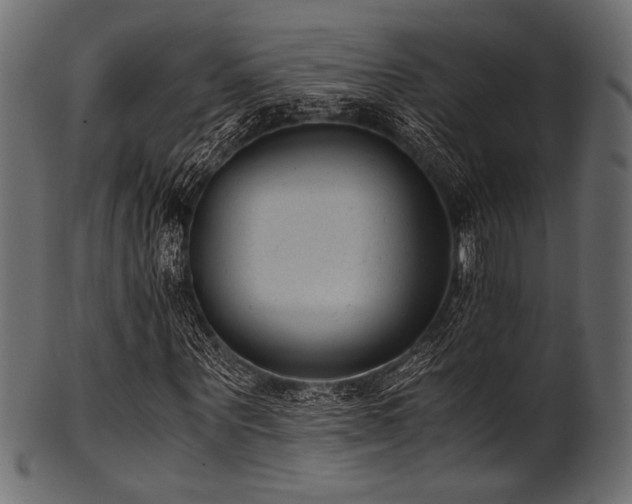 X0000101990867200807181145