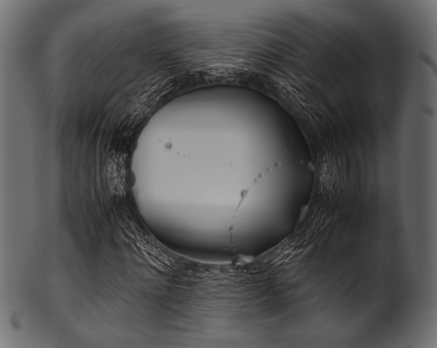 X0000101990868200807181145
